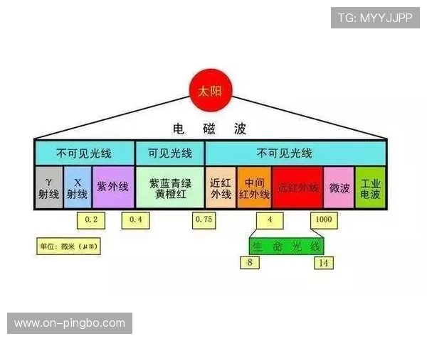 篮球新手入门：轻松搞懂无球犯规的判定与影响